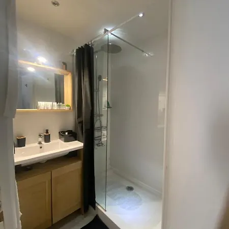 Appartement At 200m From With Pool Cannes